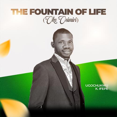 Onye Nachurum Aja Nmuo cover art