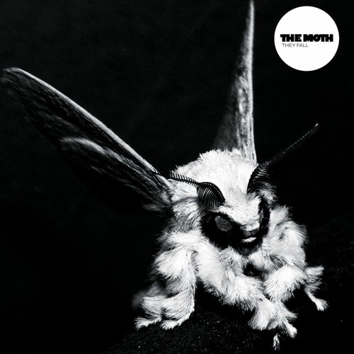 They Fall cover art