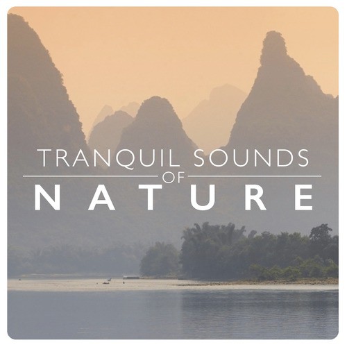 Tranquil Sounds of Nature