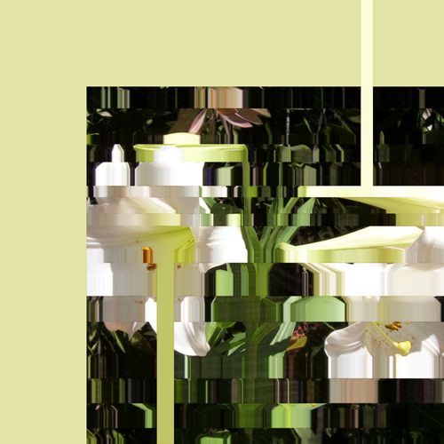 polvo cover art