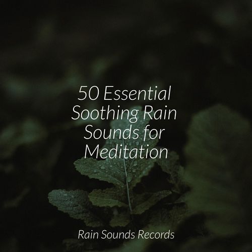 50 Essential Soothing Rain Sounds for Meditation_poster_image