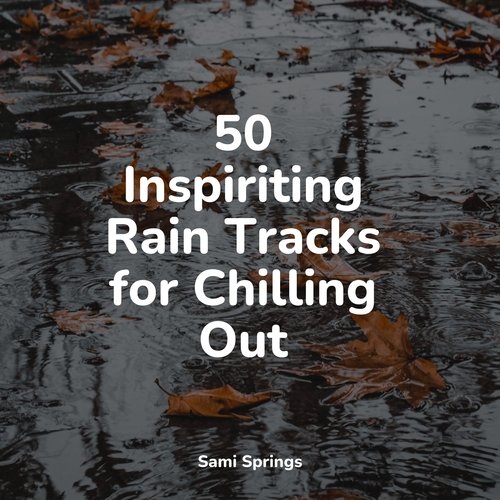 50 Inspiriting Rain Tracks for Chilling Out_poster_image