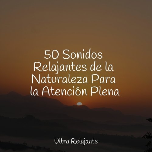 50 Sonidos Relajantes de la Naturaleza Para la Atención Plena_poster_image