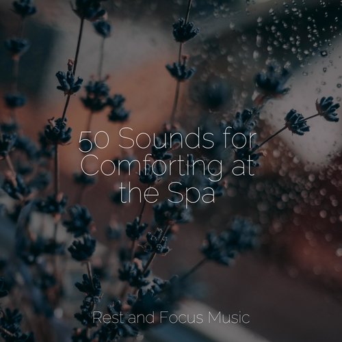 50 Sounds for Comforting at the Spa