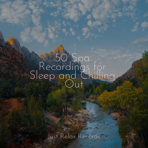 50 Spa Recordings for Sleep and Chilling Out_poster_image