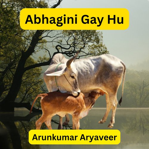 Abhagini Gay Hu