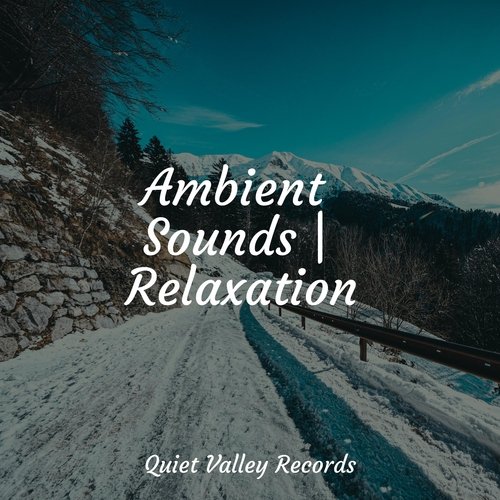 Ambient Sounds | Relaxation