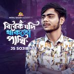 Bibek Jodi Thakto Pakhi