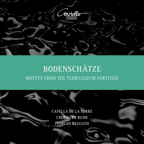 Bodenschätze (Motetten aus dem 17. Jahrhundert)_poster_image