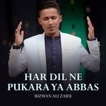 Har Dil Ne Pukara Ya Abbas