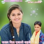 Jakham Dil Eklo Sahve (Meenawati)