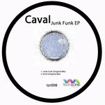 Junk Funk (Original Mix)