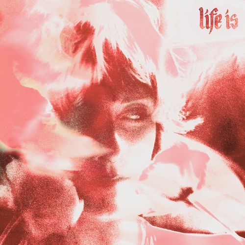Stef cover art