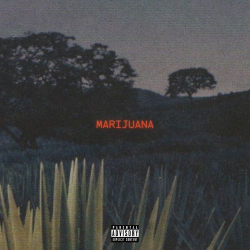 MARIJUANA