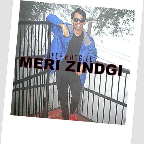 Meri Zindgi_poster_image