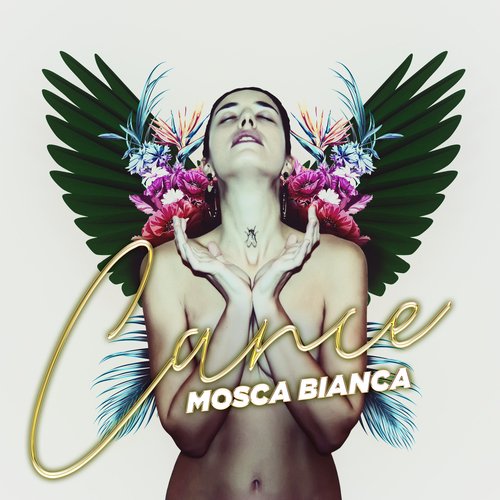 Mosca Bianca_poster_image