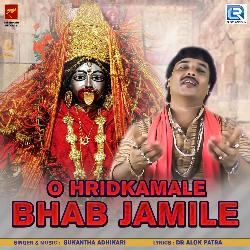 O Hridkamale Bhab Jamile-QxEyehUHT0M