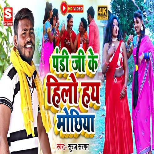 Pandit Ji Ke Hilo hai Mochhiya