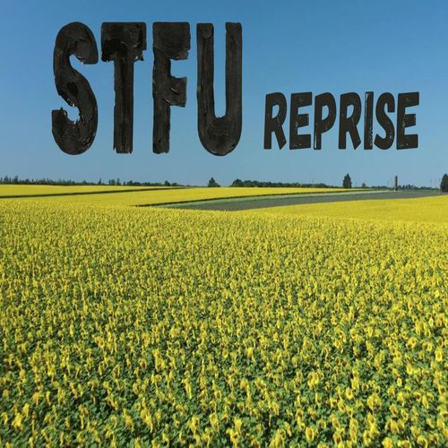 STFU Reprise cover art