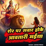 Sher Par Sawar Hoke Aaw Tari Mai