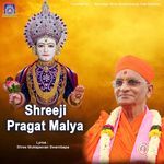Shreeji Pragat Malya
