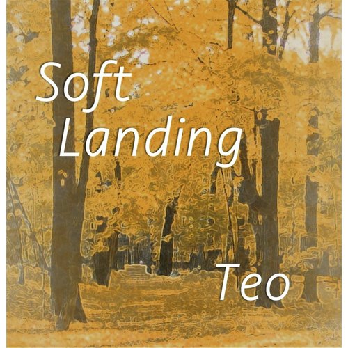Soft Landing