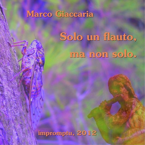 Solo Un Flauto, Ma Non Solo.