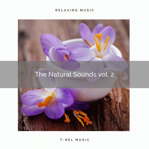 Universal Zen of Nature for Extreme Relax pt. 2 cover art
