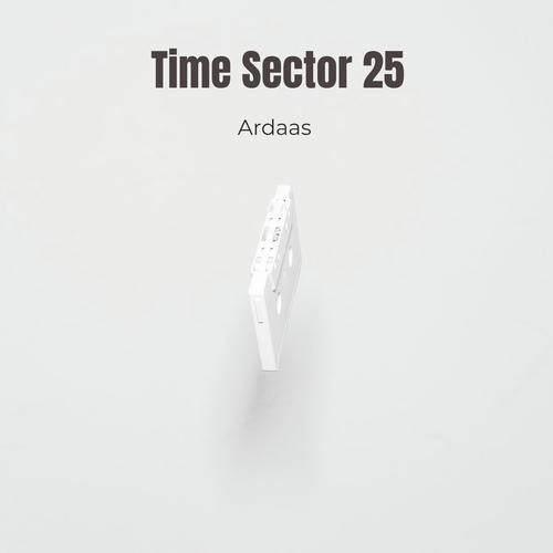 Time Sector 25