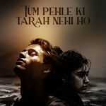 Tum Pehle Ki Tarah Nehi Ho