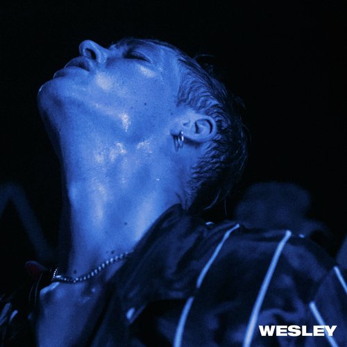 Wesley cover art