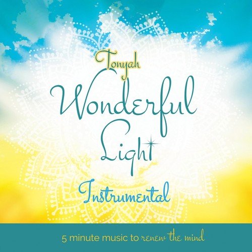 Wonderful Light Instrumental