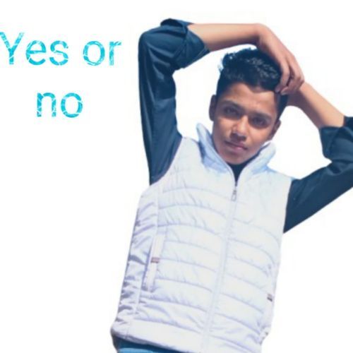Yes Or No