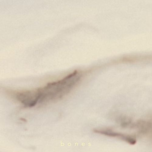bones