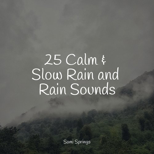 25 Calm & Slow Rain and Rain Sounds