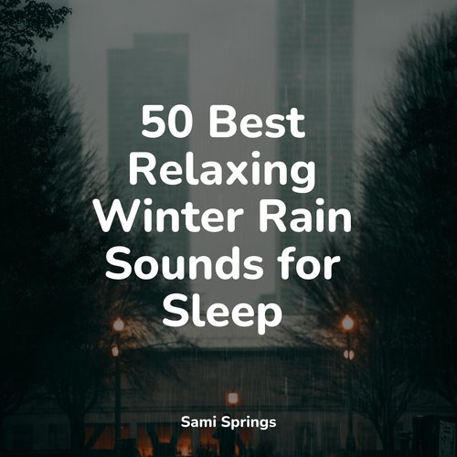 50 Best Relaxing Winter Rain Sounds for Sleep