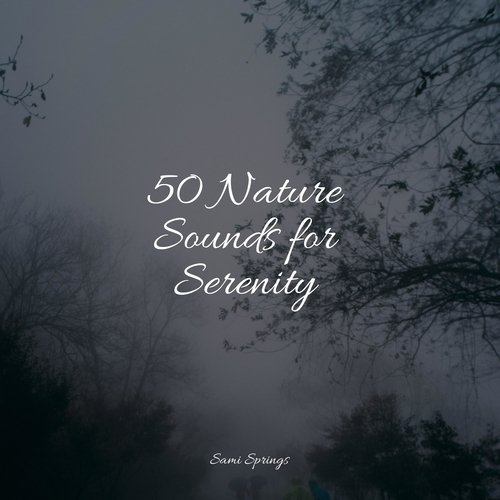 50 Loopable Rain & Nature Recordings for Sleep