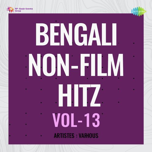 Bengali Non - Film Hitz Vol - 13