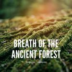 Heart of the Deep Forest artwork