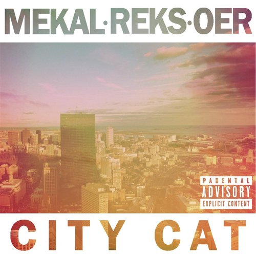 City Cat_poster_image