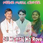 Dil Mumtaj Ko Rove (Meenawati)
