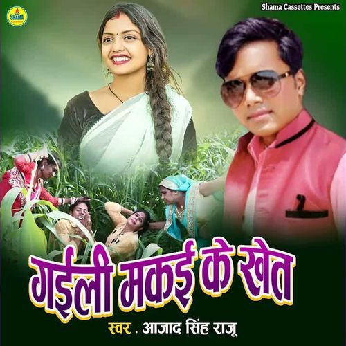Gaili Makai Ke Khet