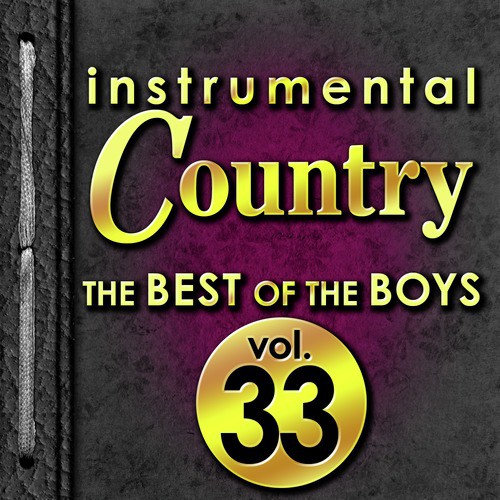 Instrumental Country: The Best of the Boys, Vol. 33