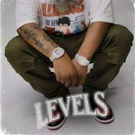 Levels