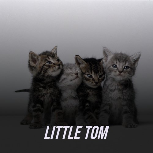 Little Tom