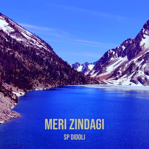 Meri Zindagi