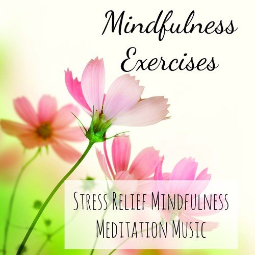 Namaste Yoga cover art