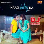 Naag Ishq Ka (DJ Remix)