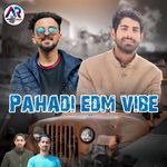 Pahadi Edm Vibe