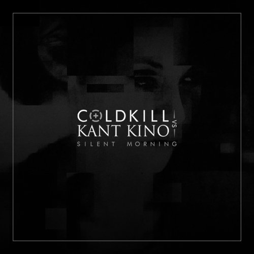 SilentMorning [Solar Fake remix] cover art